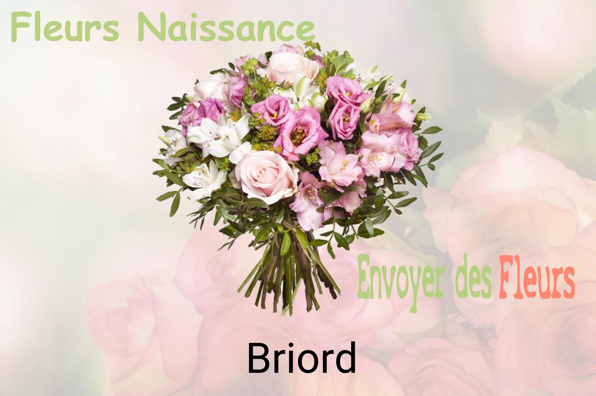 Bouquet de fleurs de naissance livré à Briord