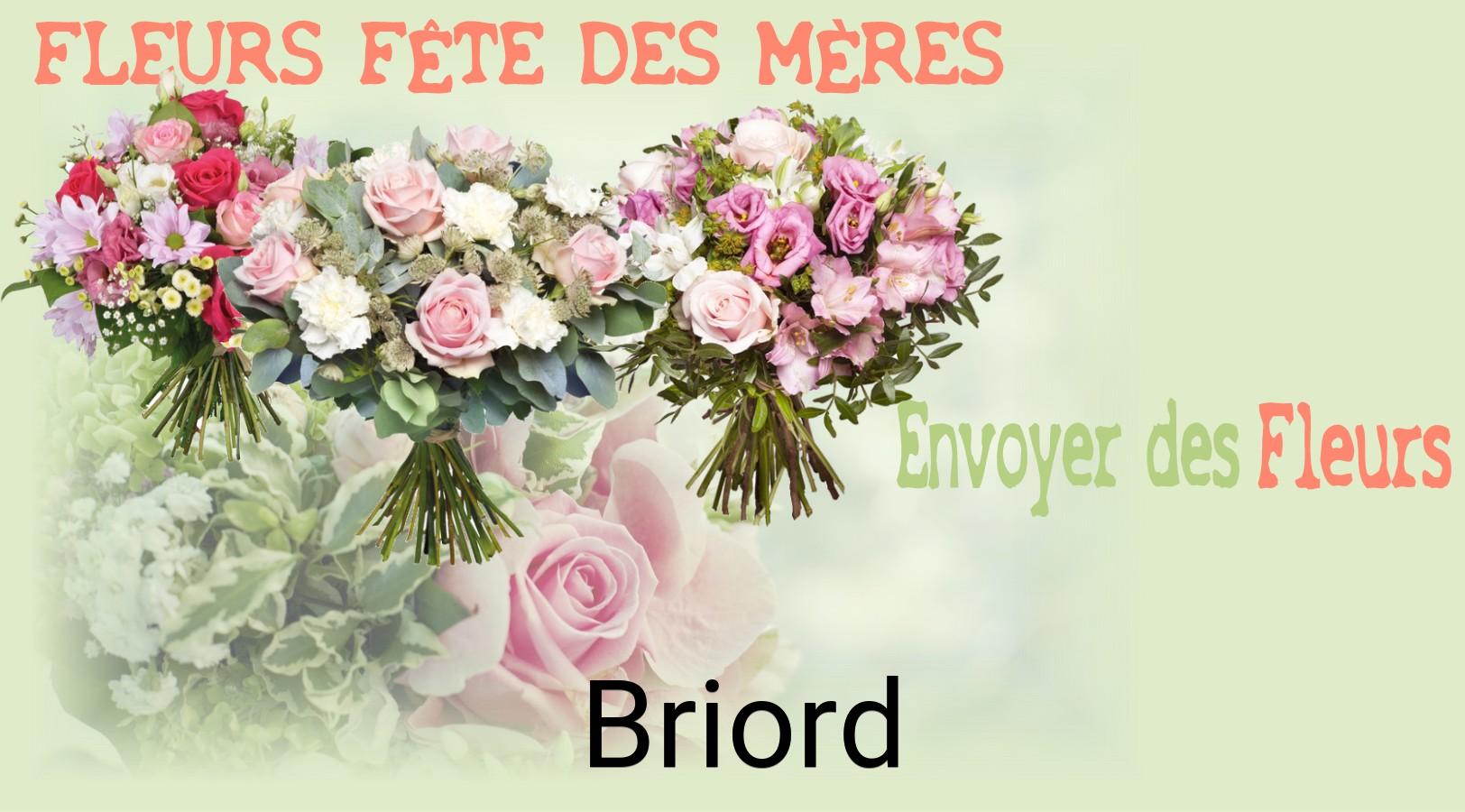 Bouquet de Fête des Mères livré à Briord